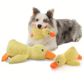 Duck dog toy