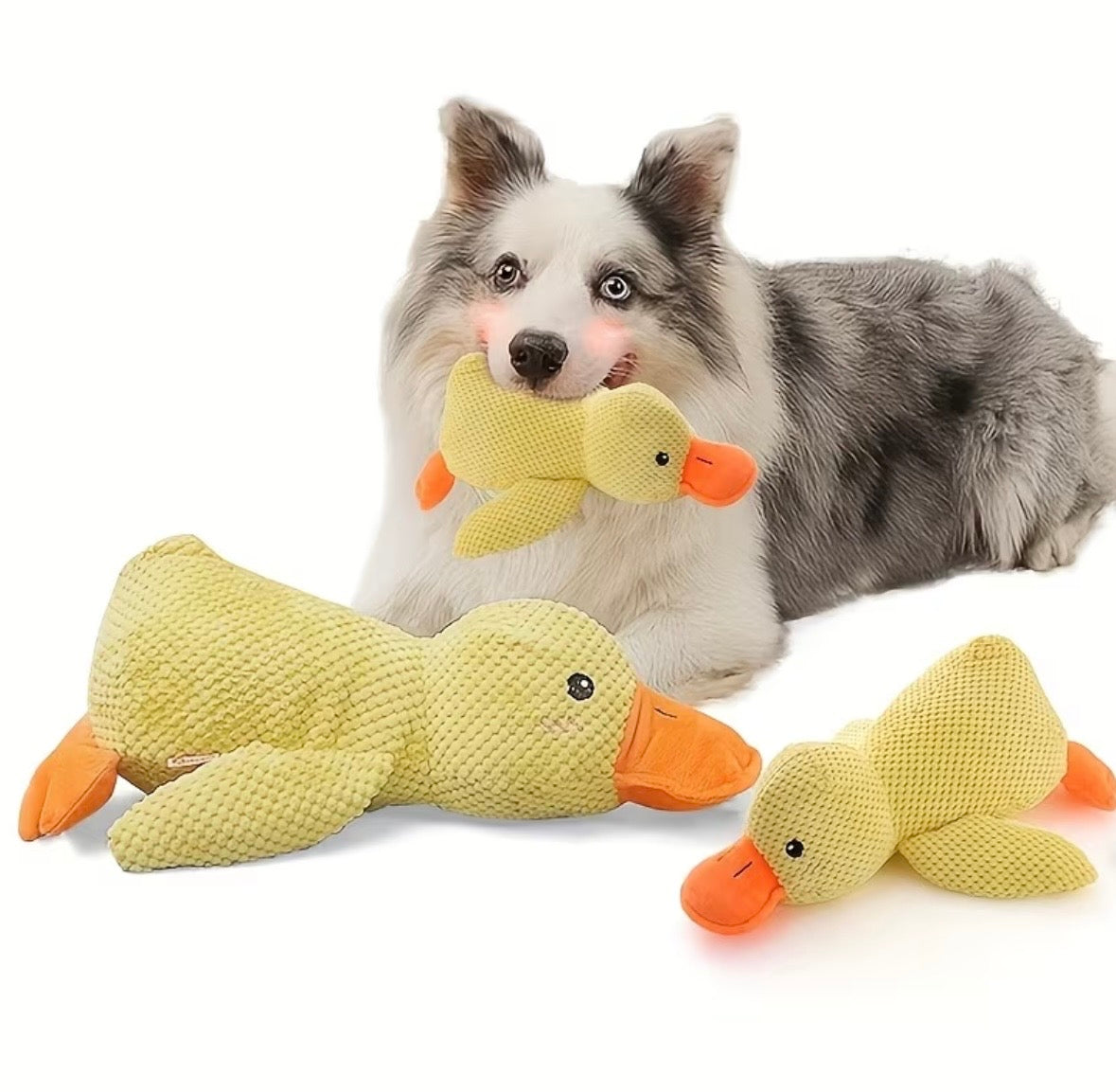 Duck dog toy