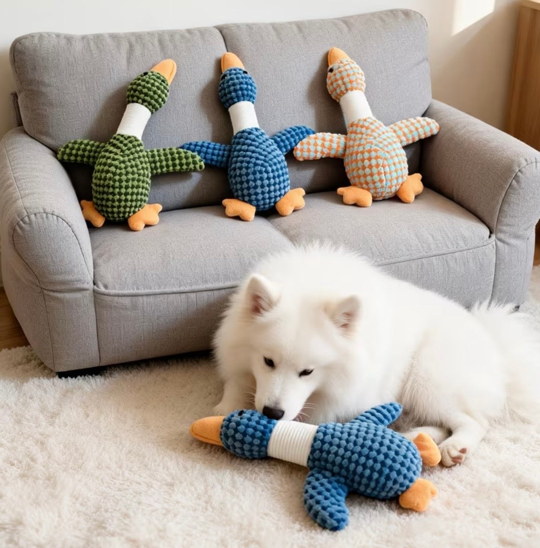 Duck toy