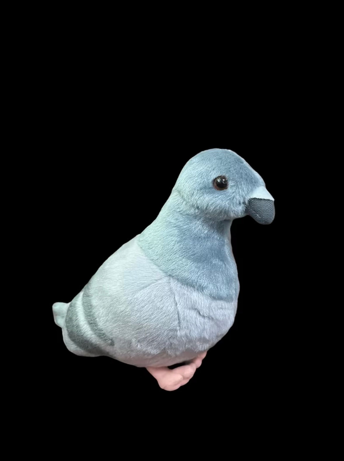 Pigeon toy