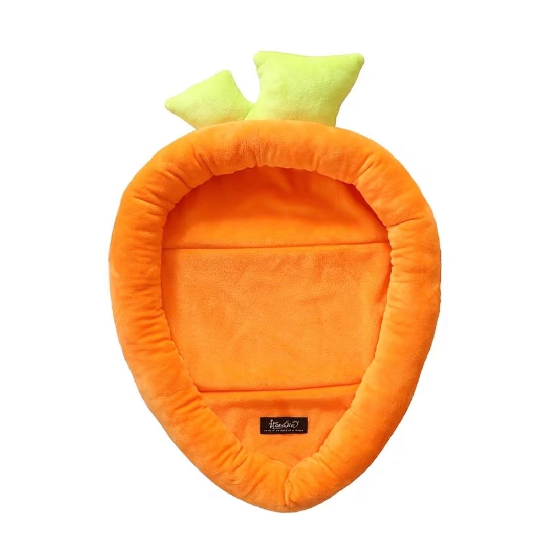 Carrot bed