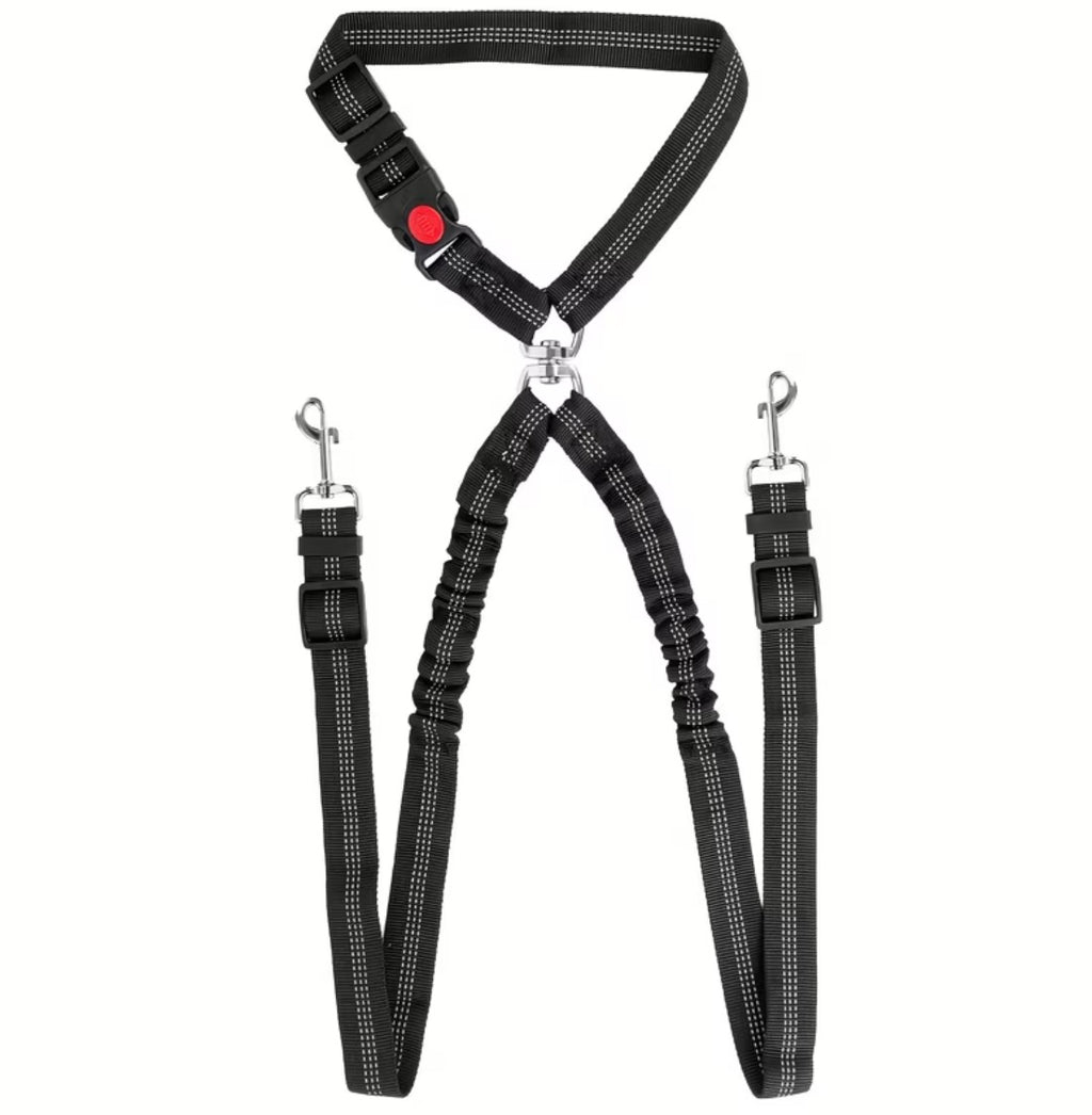 Double dog harness